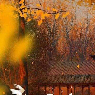 一剑魔龙手游(暂未上线)v1.0.31 安卓版